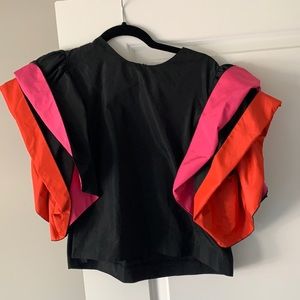 Zara Ruffle sleeve top